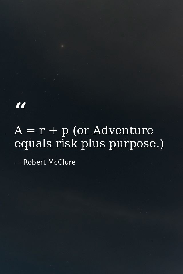 A = r + p (or Adventure equals risk plus purpose.) — Robert McClure