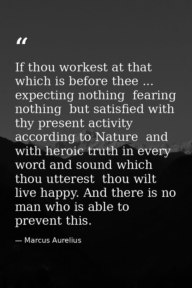 If thou workest at that which is before thee ... expecting nothing  fearing nothing  but satisfied with thy present acti — Marcus Aurelius