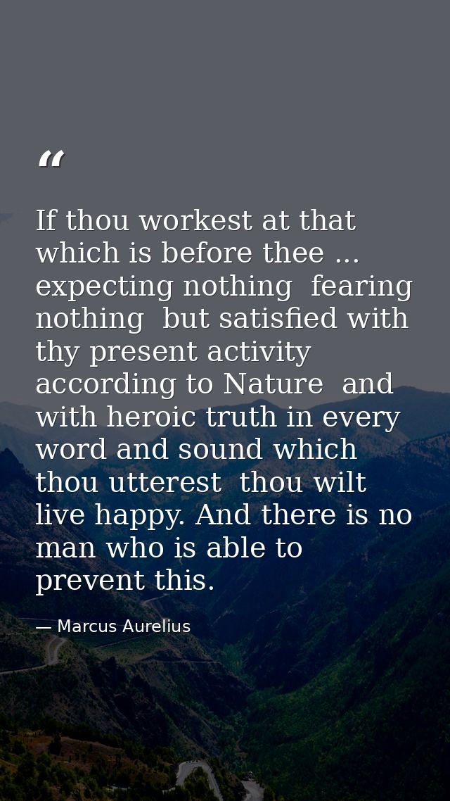 If thou workest at that which is before thee ... expecting nothing  fearing nothing  but satisfied with thy present acti — Marcus Aurelius