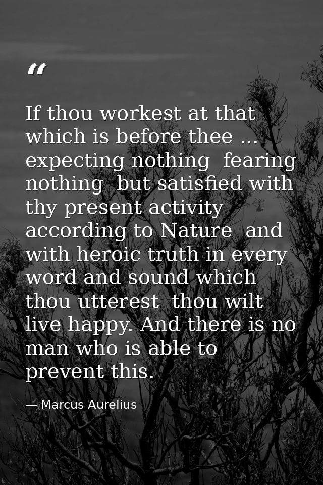 If thou workest at that which is before thee ... expecting nothing  fearing nothing  but satisfied with thy present acti — Marcus Aurelius