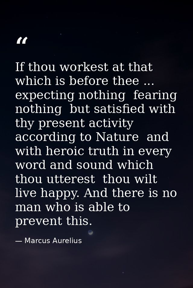 If thou workest at that which is before thee ... expecting nothing  fearing nothing  but satisfied with thy present acti — Marcus Aurelius