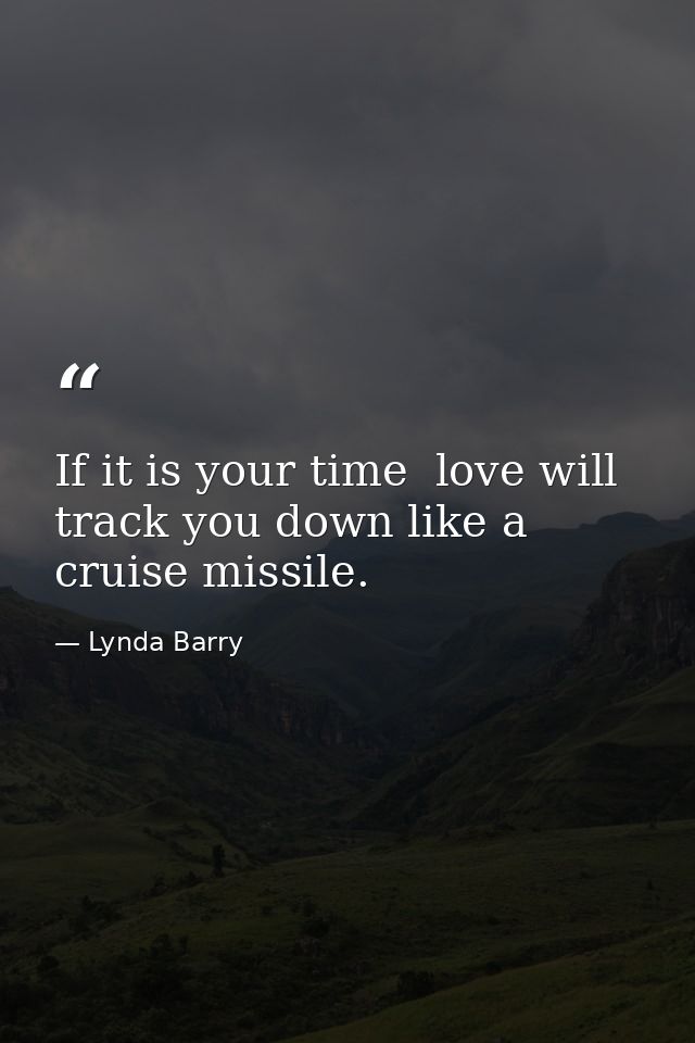 If it is your time  love will track you down like a cruise missile. — Lynda Barry
