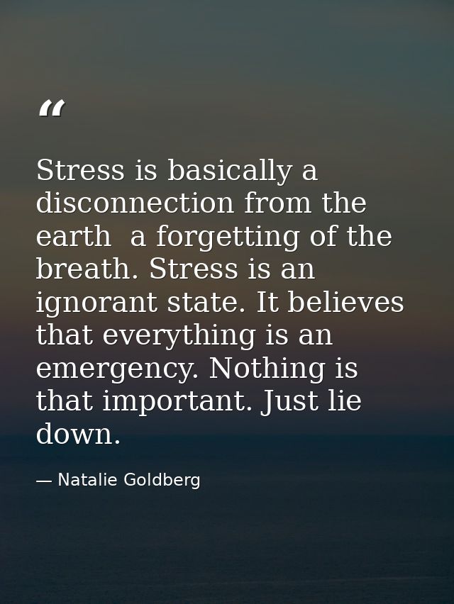 Stress is basically a disconnection from the earth  a forgetting of the breath. Stress is an ignorant state. It believes — Natalie Goldberg