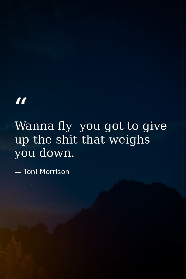 Wanna fly  you got to give up the shit that weighs you down. — Toni Morrison