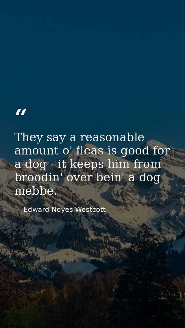 They say a reasonable amount o' fleas is good for a dog - it keeps him from broodin' over bein' a dog mebbe. — Edward Noyes Westcott