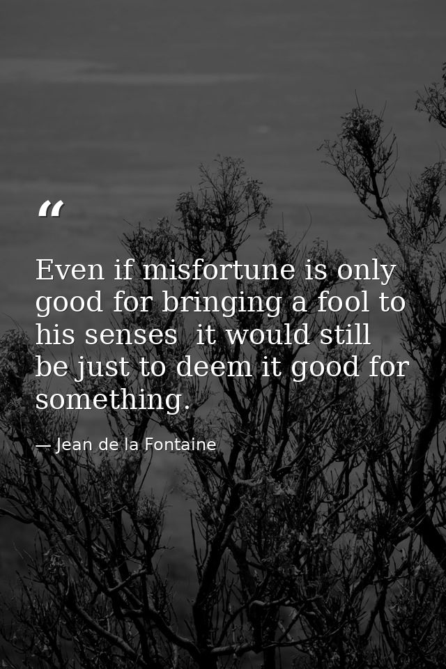 Even if misfortune is only good for bringing a fool to his senses  it would still be just to deem it good for something. — Jean de la Fontaine
