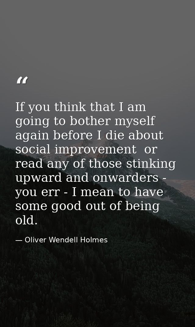 If you think that I am going to bother myself again before I die about social improvement  or read any of those stinking — Oliver Wendell Holmes