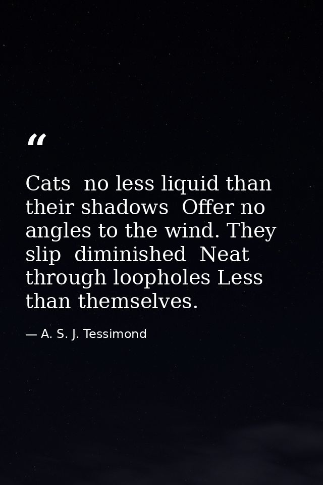 Cats  no less liquid than their shadows  Offer no angles to the wind. They slip  diminished  Neat  through loopholes Les — A. S. J. Tessimond