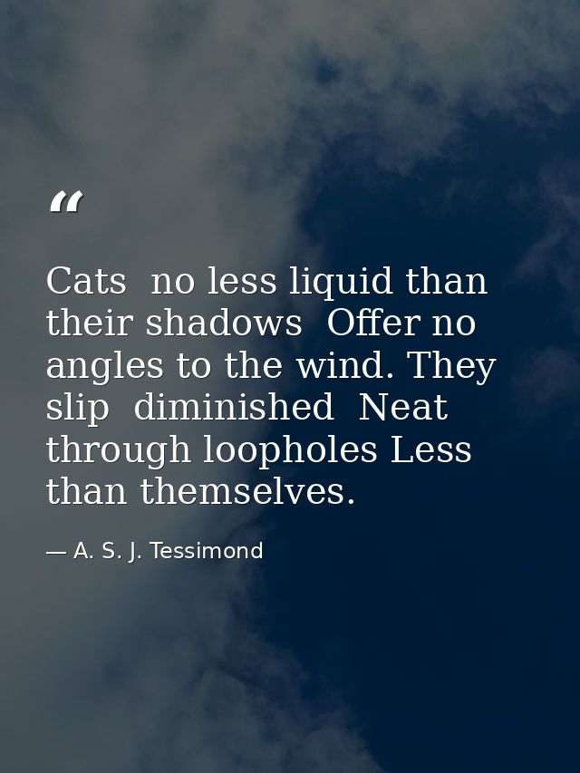 Cats  no less liquid than their shadows  Offer no angles to the wind. They slip  diminished  Neat  through loopholes Les — A. S. J. Tessimond