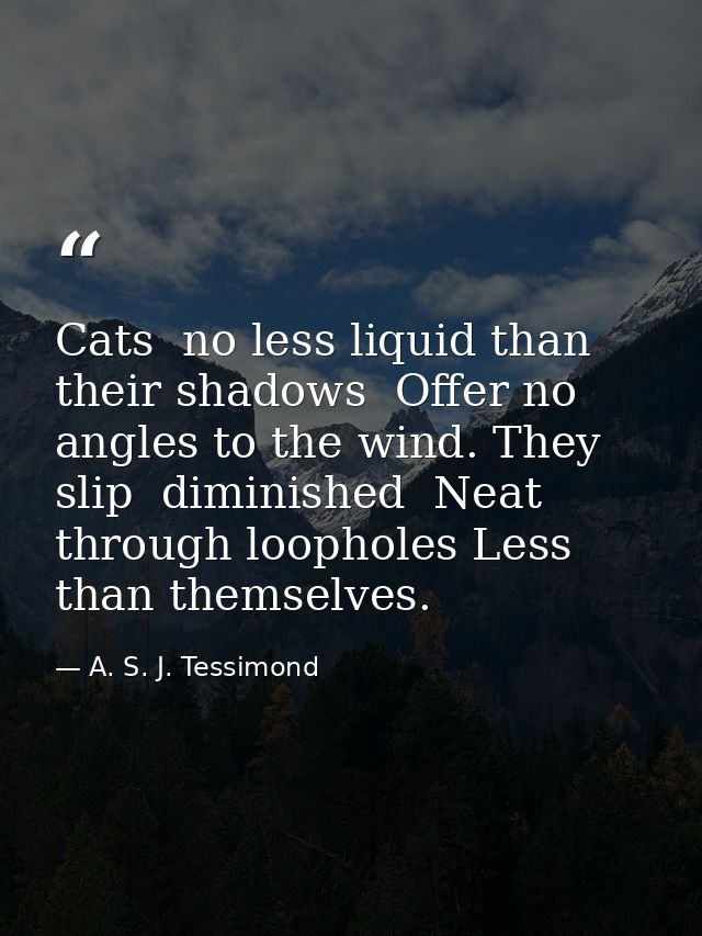 Cats  no less liquid than their shadows  Offer no angles to the wind. They slip  diminished  Neat  through loopholes Les — A. S. J. Tessimond