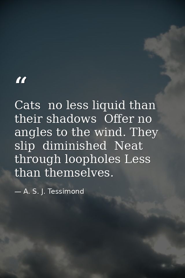 Cats  no less liquid than their shadows  Offer no angles to the wind. They slip  diminished  Neat  through loopholes Les — A. S. J. Tessimond