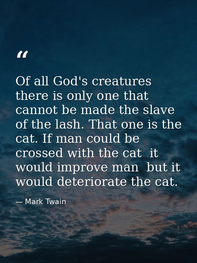 Of all God's creatures there is only one that cannot be made the slave of the lash. That one is the cat. If man could be — Mark Twain