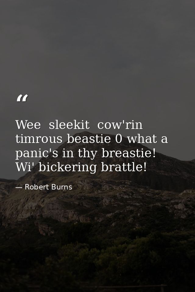 Wee  sleekit  cow'rin  timrous beastie 0 what a panic's in thy breastie! Wi' bickering brattle! — Robert Burns