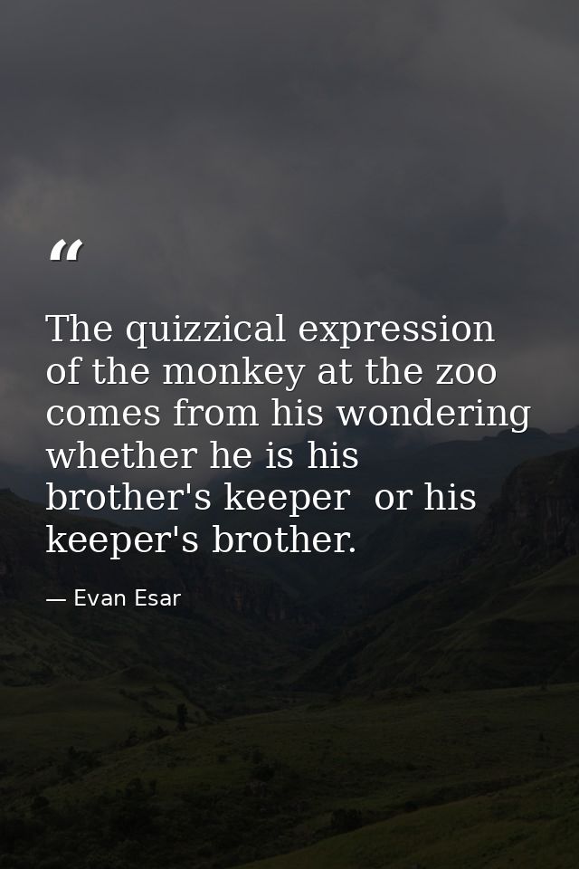 The quizzical expression of the monkey at the zoo comes from his wondering whether he is his brother's keeper  or his ke — Evan Esar
