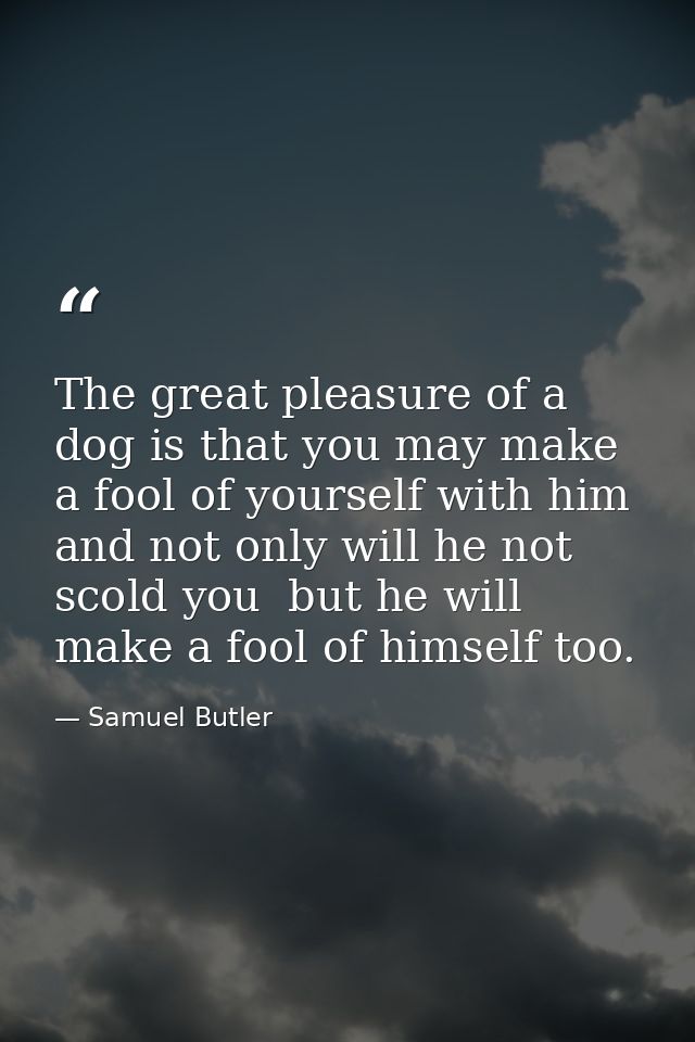 The great pleasure of a dog is that you may make a fool of yourself with him and not only will he not scold you  but he  — Samuel Butler