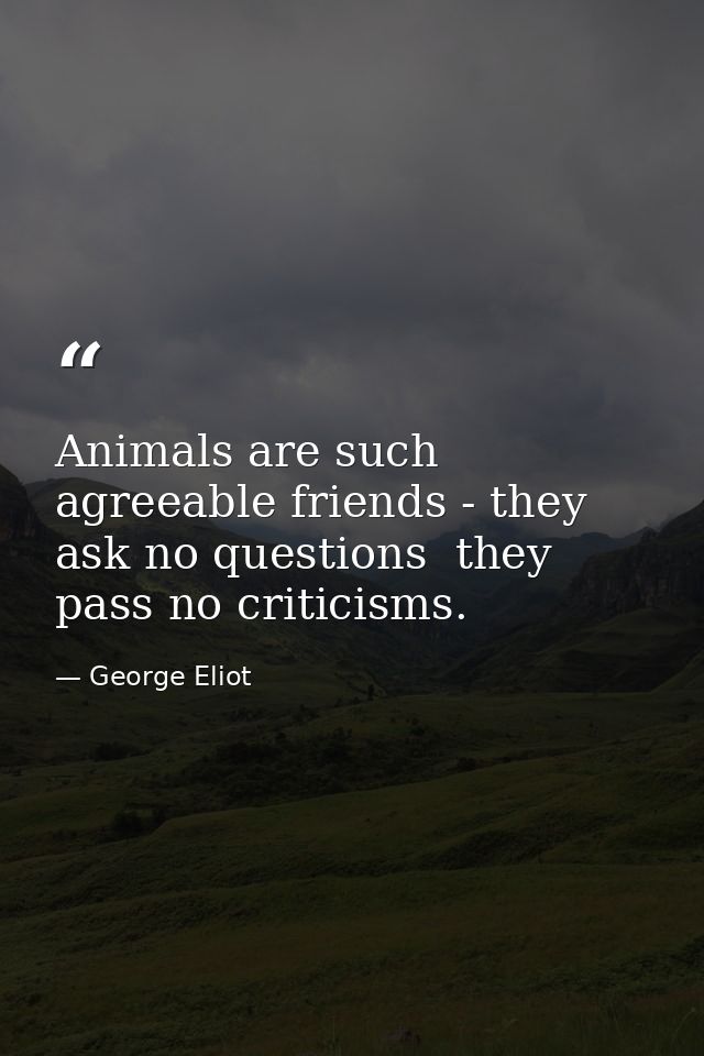 Animals are such agreeable friends - they ask no questions  they pass no criticisms. — George Eliot