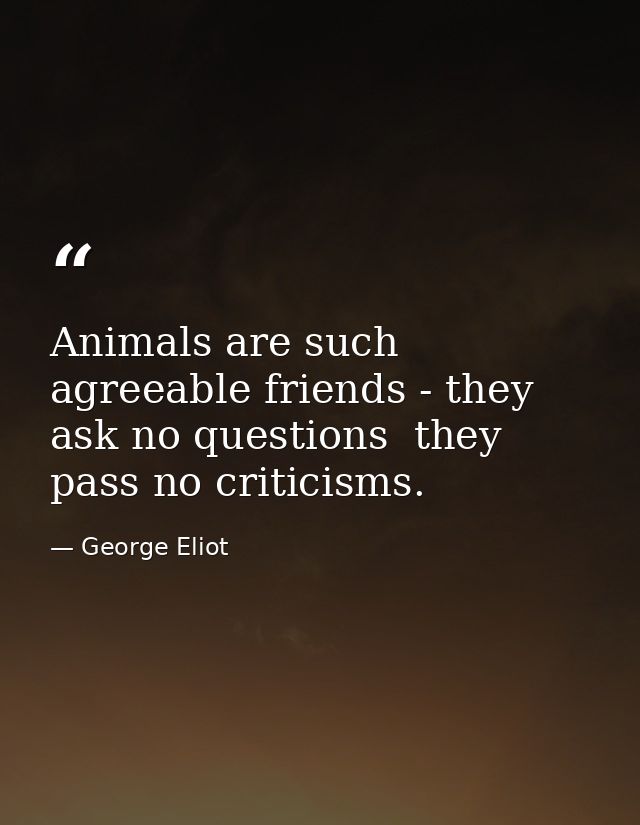 Animals are such agreeable friends - they ask no questions  they pass no criticisms. — George Eliot