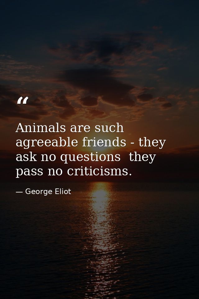 Animals are such agreeable friends - they ask no questions  they pass no criticisms. — George Eliot