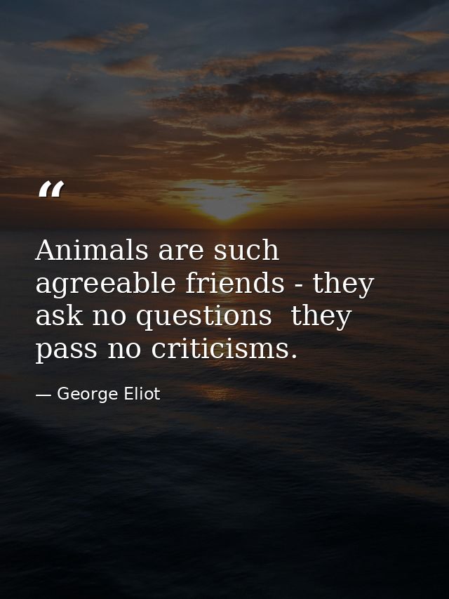 Animals are such agreeable friends - they ask no questions  they pass no criticisms. — George Eliot
