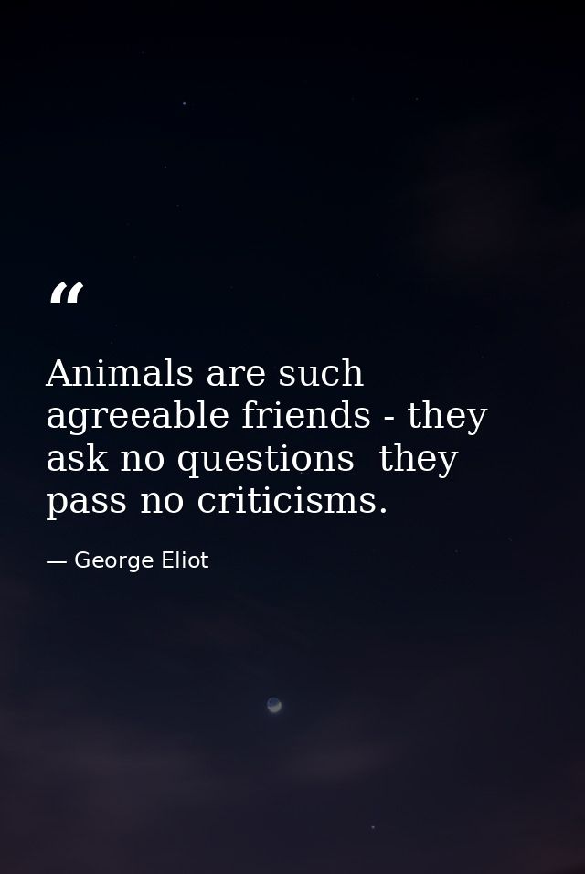 Animals are such agreeable friends - they ask no questions  they pass no criticisms. — George Eliot