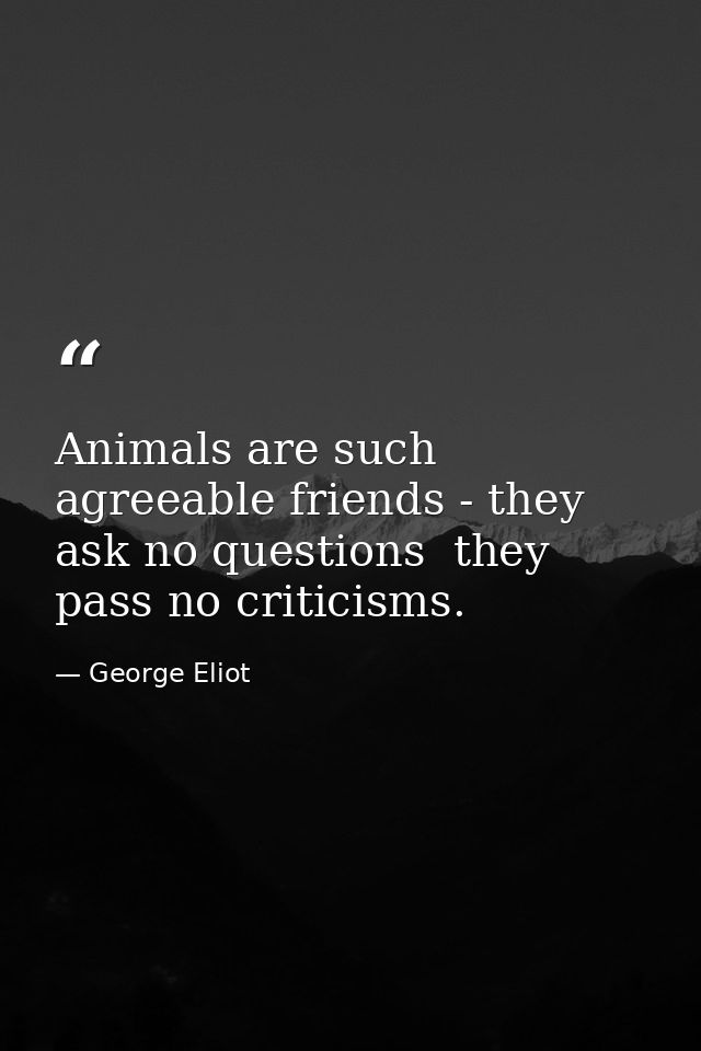 Animals are such agreeable friends - they ask no questions  they pass no criticisms. — George Eliot