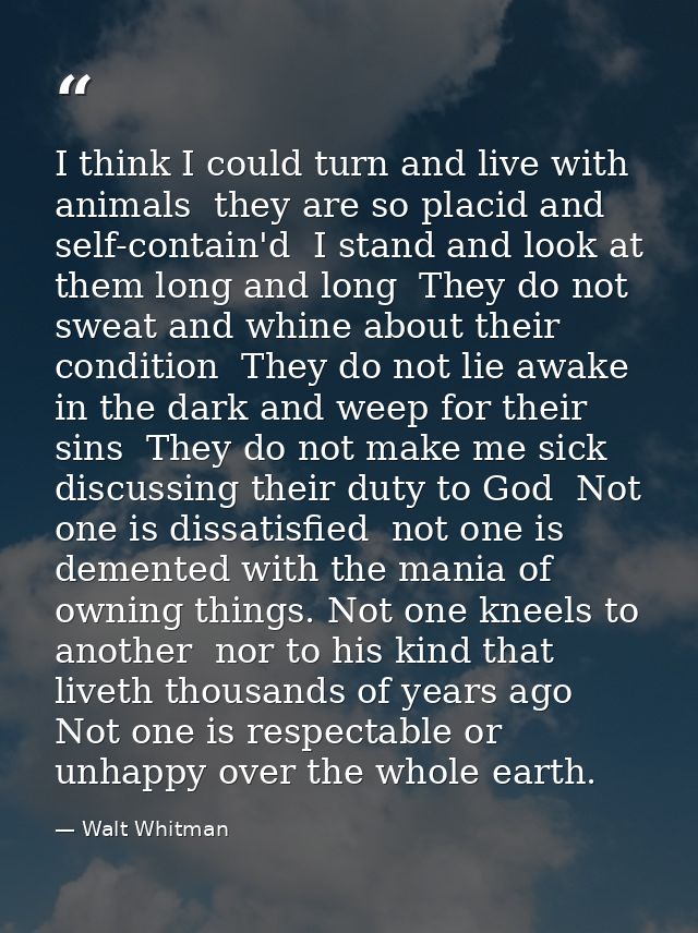 I think I could turn and live with animals  they are so placid and self-contain'd  I stand and look at them long and lon — Walt Whitman