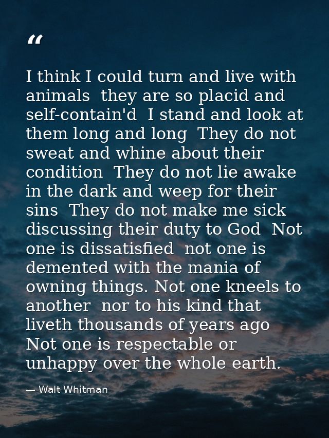 I think I could turn and live with animals  they are so placid and self-contain'd  I stand and look at them long and lon — Walt Whitman