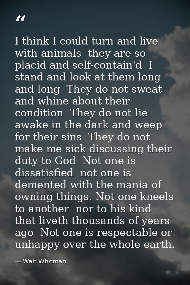 I think I could turn and live with animals  they are so placid and self-contain'd  I stand and look at them long and lon — Walt Whitman