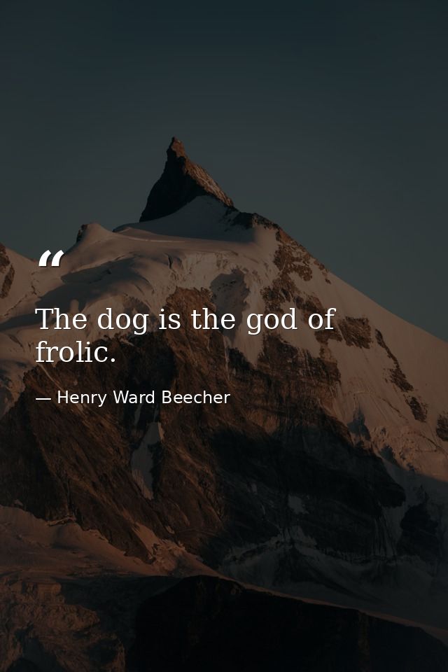 The dog is the god of frolic. — Henry Ward Beecher