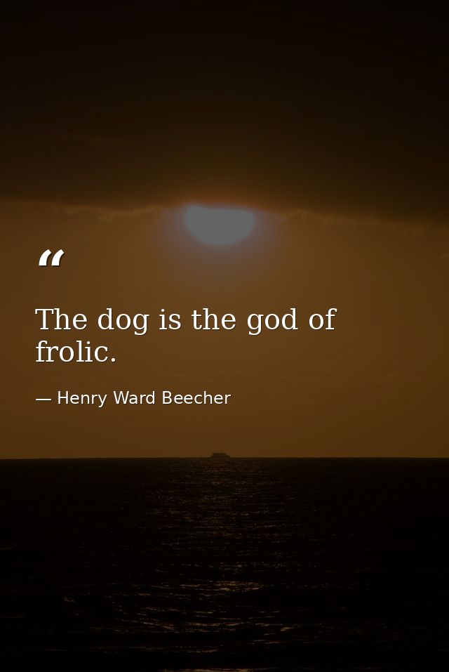 The dog is the god of frolic. — Henry Ward Beecher