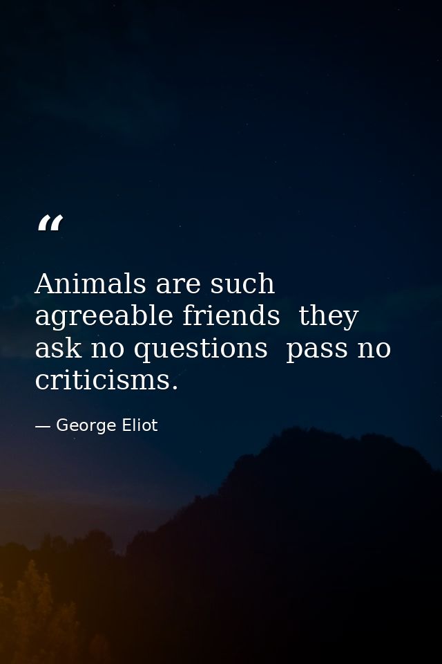 Animals are such agreeable friends  they ask no questions  pass no criticisms. — George Eliot