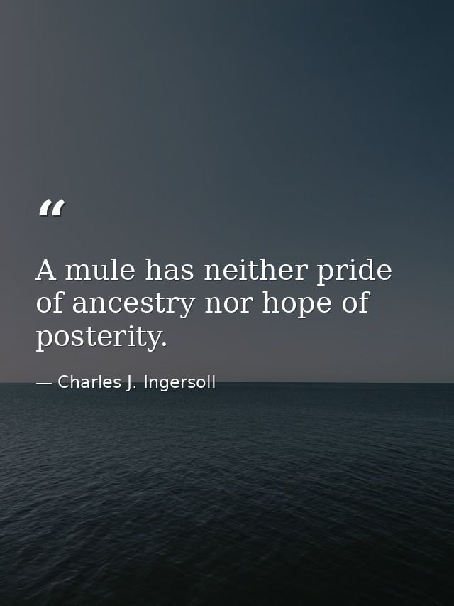 A mule has neither pride of ancestry nor hope of posterity. — Charles J. Ingersoll
