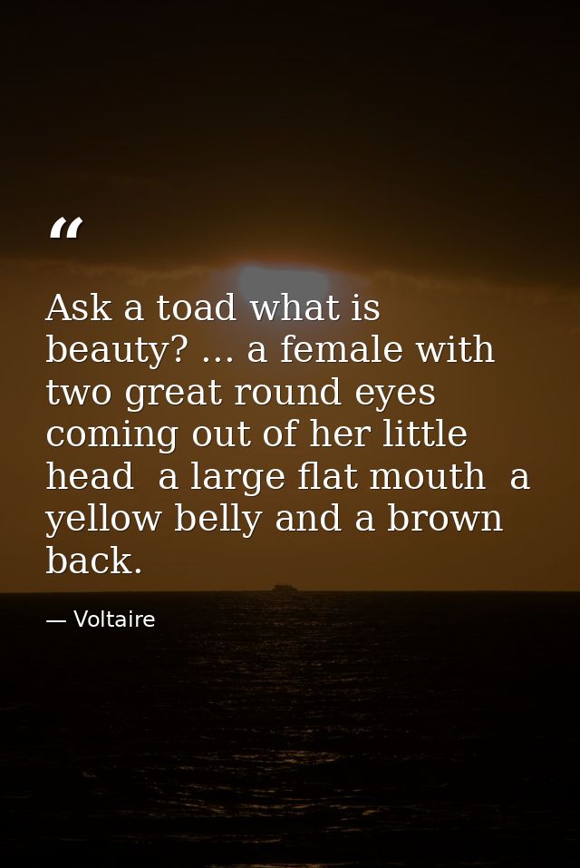 Ask a toad what is beauty? ... a female with two great round eyes coming out of her little head  a large flat mouth  a y — Voltaire