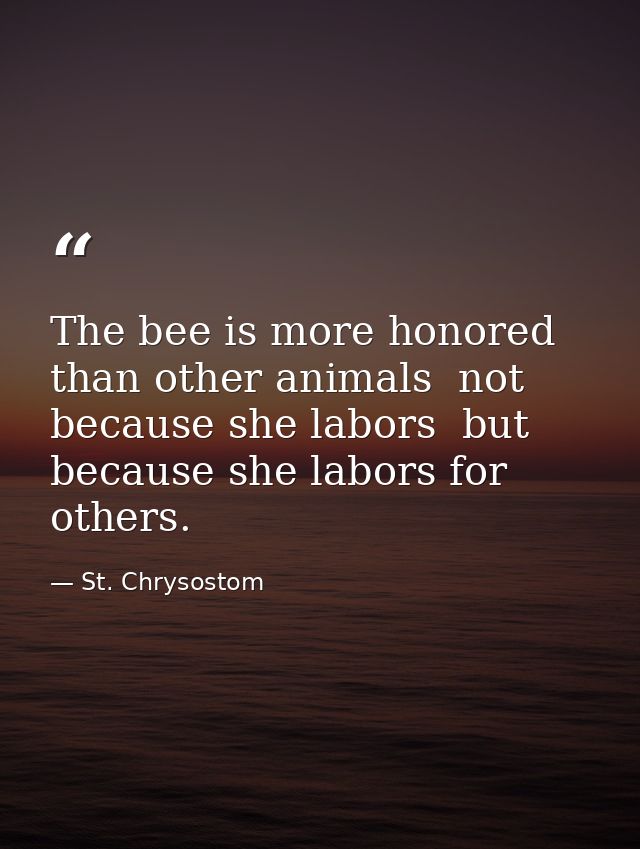 The bee is more honored than other animals  not because she labors  but because she labors for others. — St. Chrysostom