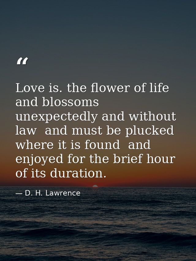 Love is. the flower of life  and blossoms unexpectedly and without law  and must be plucked where it is found  and enjoy — D. H. Lawrence