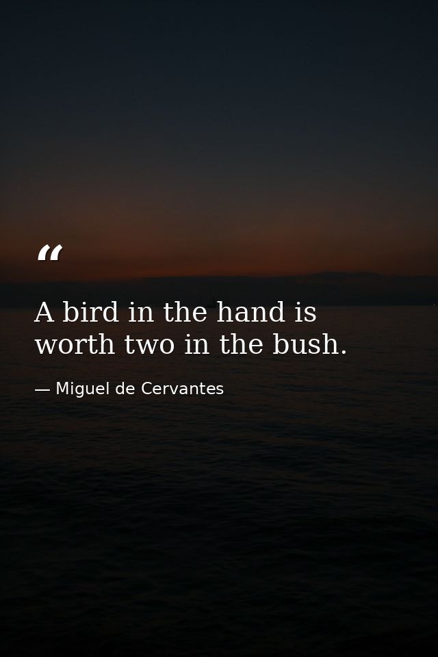 A bird in the hand is worth two in the bush. — Miguel de Cervantes