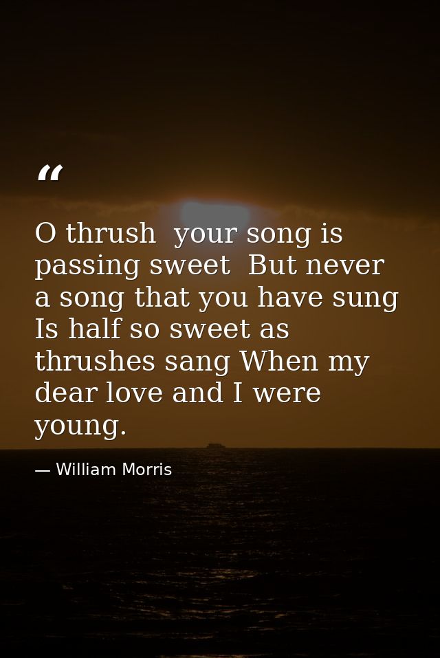 O thrush  your song is passing sweet  But never a song that you have sung Is half so sweet as thrushes sang When my dear — William Morris