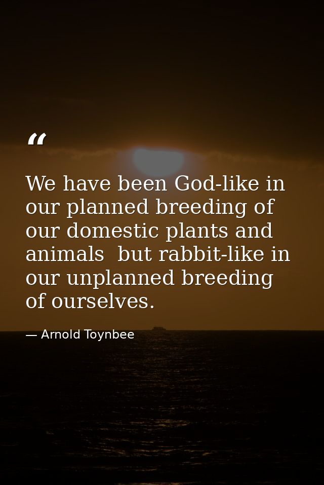 We have been God-like in our planned breeding of our domestic plants and animals  but rabbit-like in our unplanned breed — Arnold Toynbee