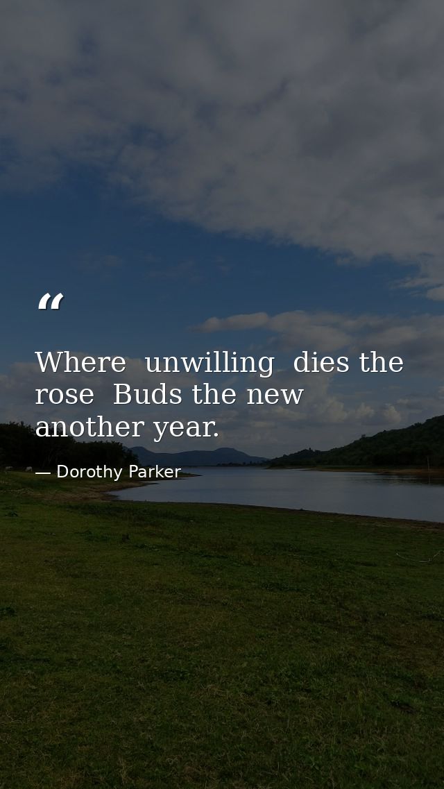 Where  unwilling  dies the rose  Buds the new  another year. — Dorothy Parker