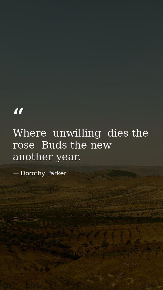 Where  unwilling  dies the rose  Buds the new  another year. — Dorothy Parker