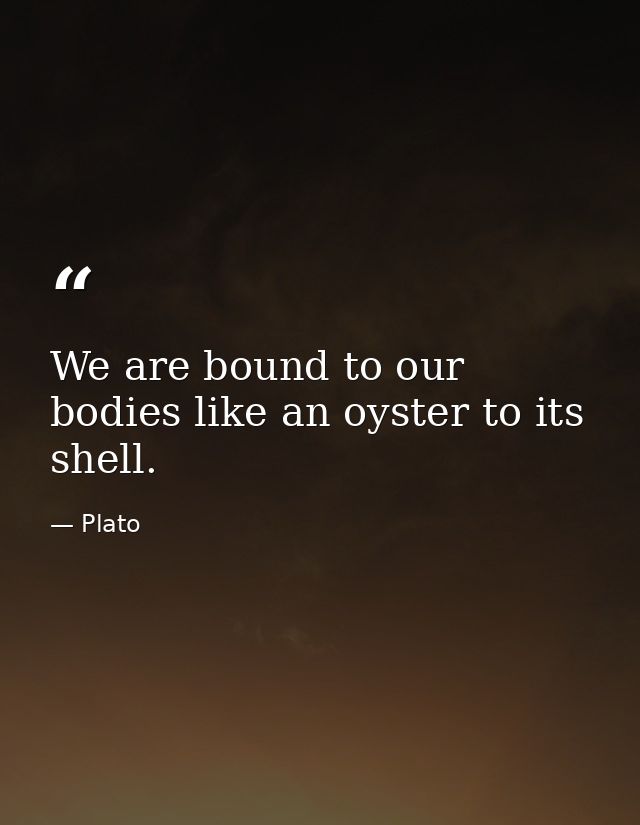 We are bound to our bodies like an oyster to its shell. — Plato