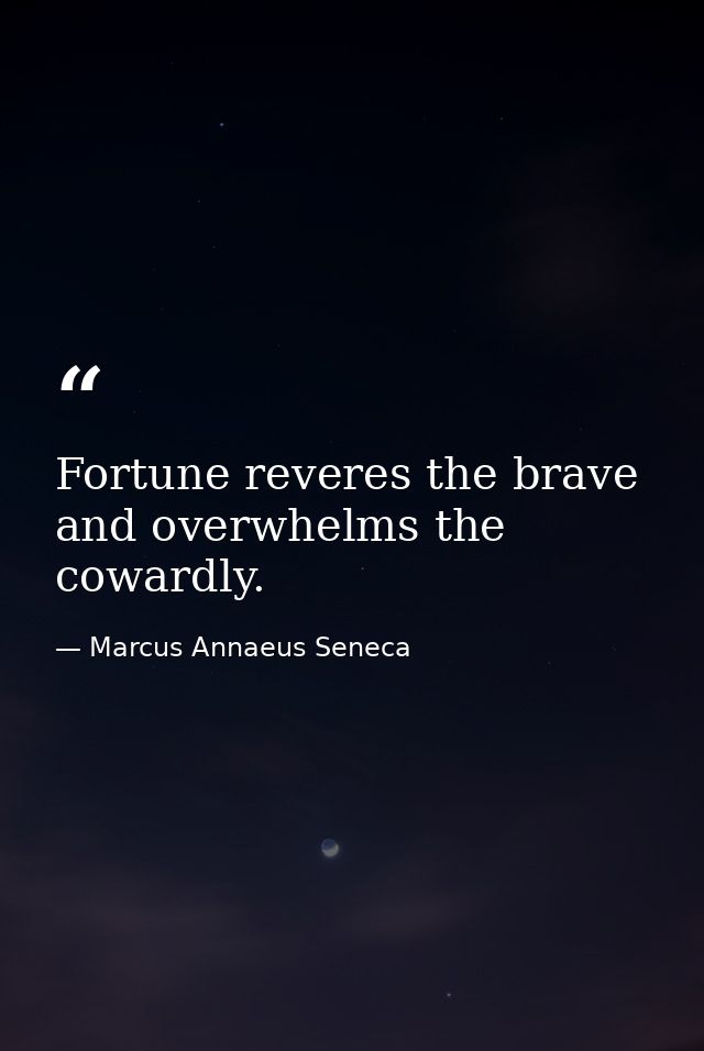 Fortune reveres the brave  and overwhelms the cowardly. — Marcus Annaeus Seneca