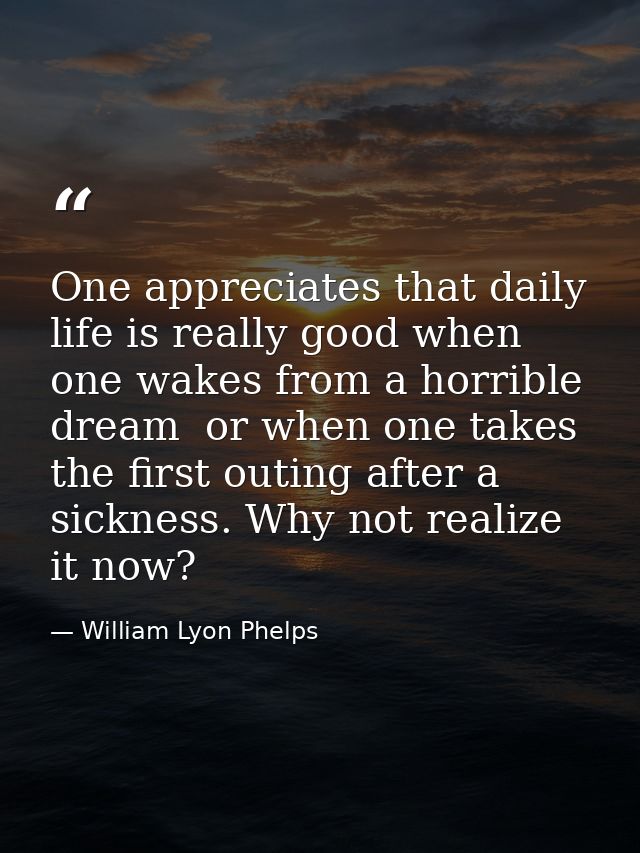 One appreciates that daily life is really good when one wakes from a horrible dream  or when one takes the first outing  — William Lyon Phelps