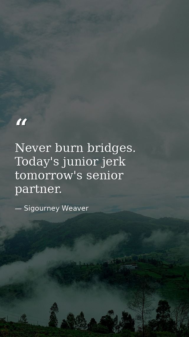 Never burn bridges. Today's junior jerk  tomorrow's senior partner. — Sigourney Weaver