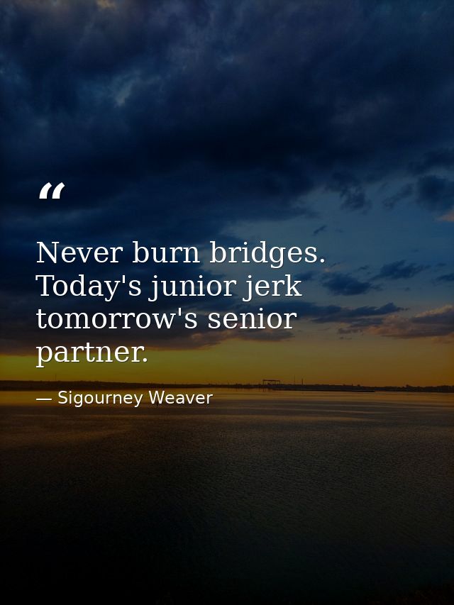 Never burn bridges. Today's junior jerk  tomorrow's senior partner. — Sigourney Weaver