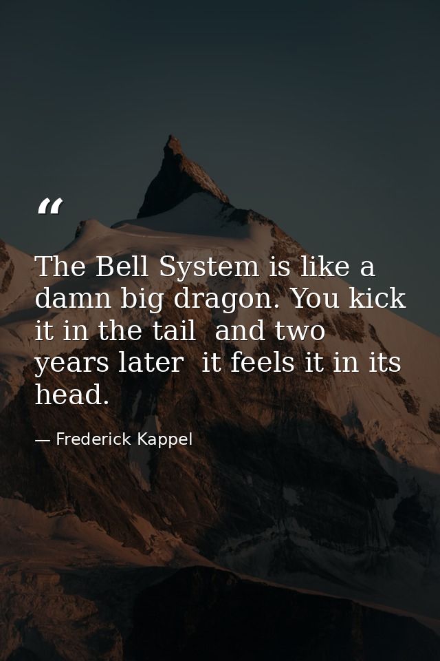 The Bell System is like a damn big dragon. You kick it in the tail  and two years later  it feels it in its head. — Frederick Kappel
