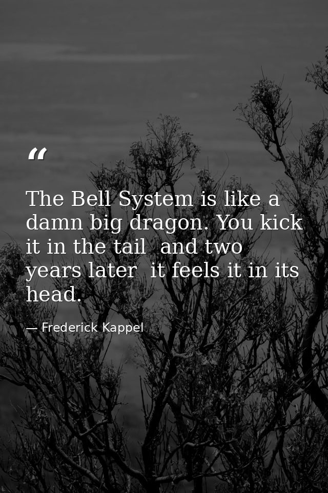 The Bell System is like a damn big dragon. You kick it in the tail  and two years later  it feels it in its head. — Frederick Kappel