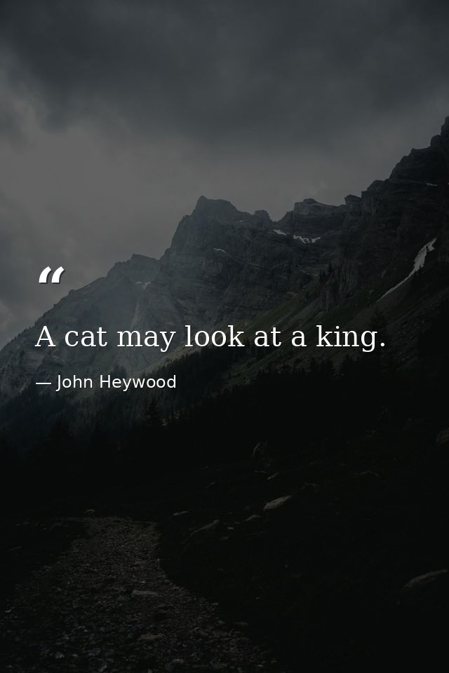 A cat may look at a king. — John Heywood