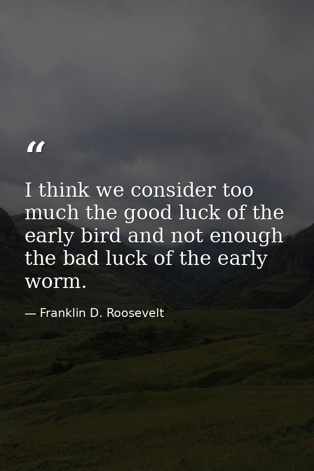 I think we consider too much the good luck of the early bird and not enough the bad luck of the early worm. — Franklin D. Roosevelt