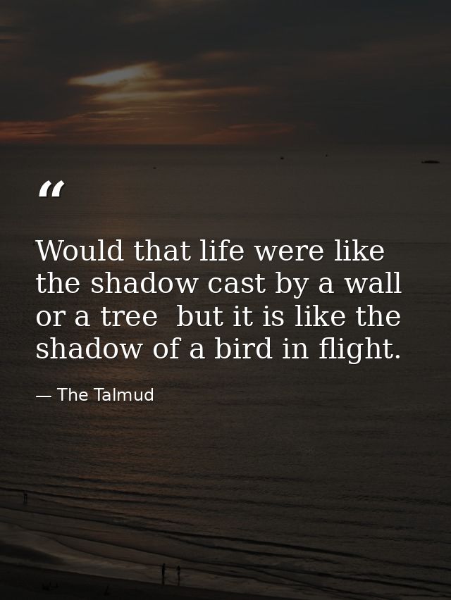 Would that life were like the shadow cast by a wall or a tree  but it is like the shadow of a bird in flight. — The Talmud